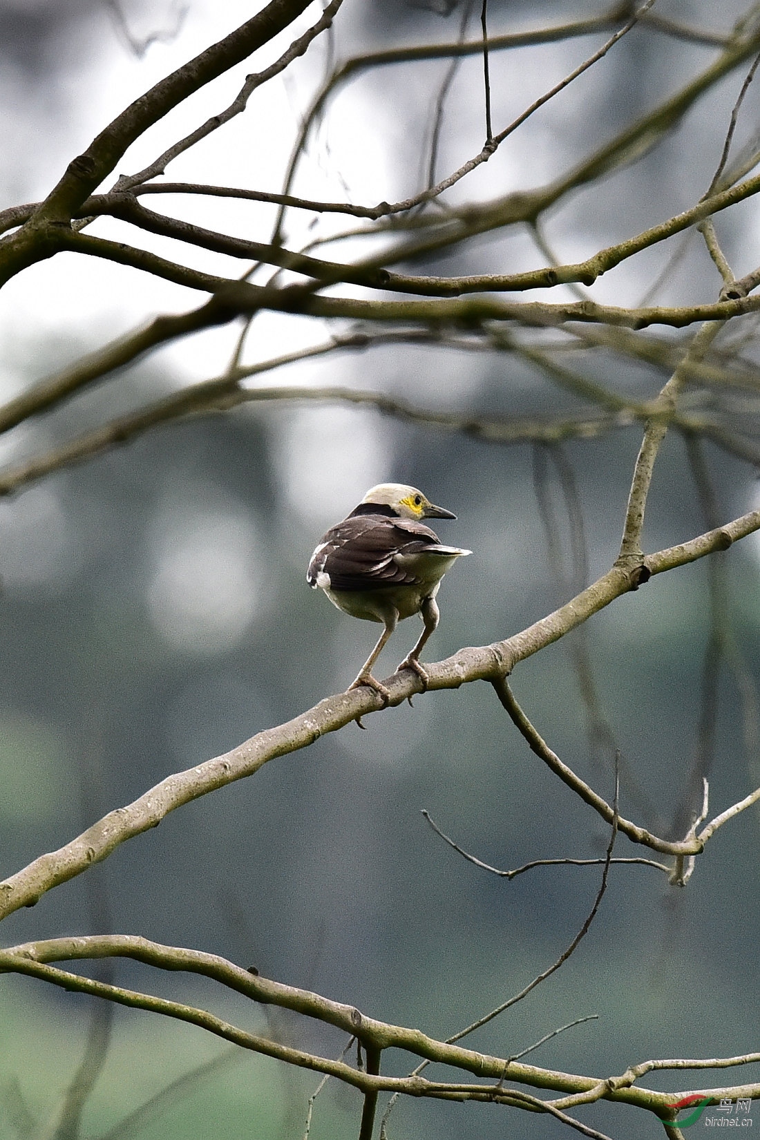 DSC_0208.JPG