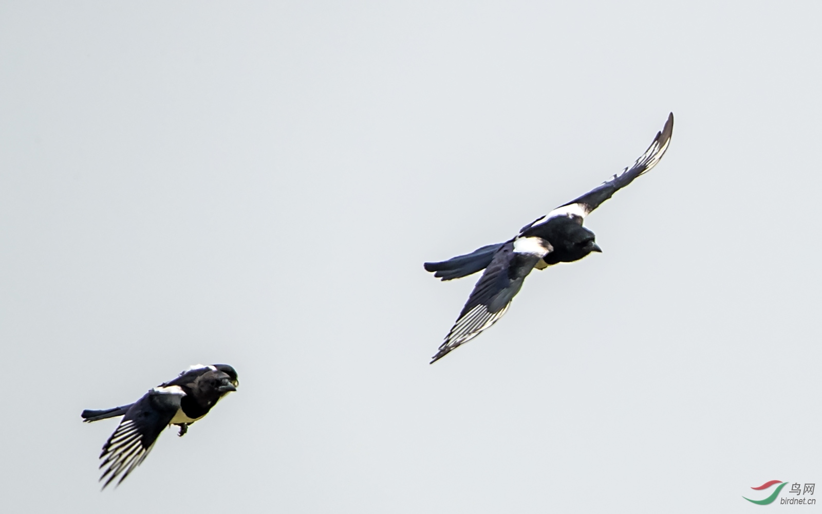 AW4I5285.jpg