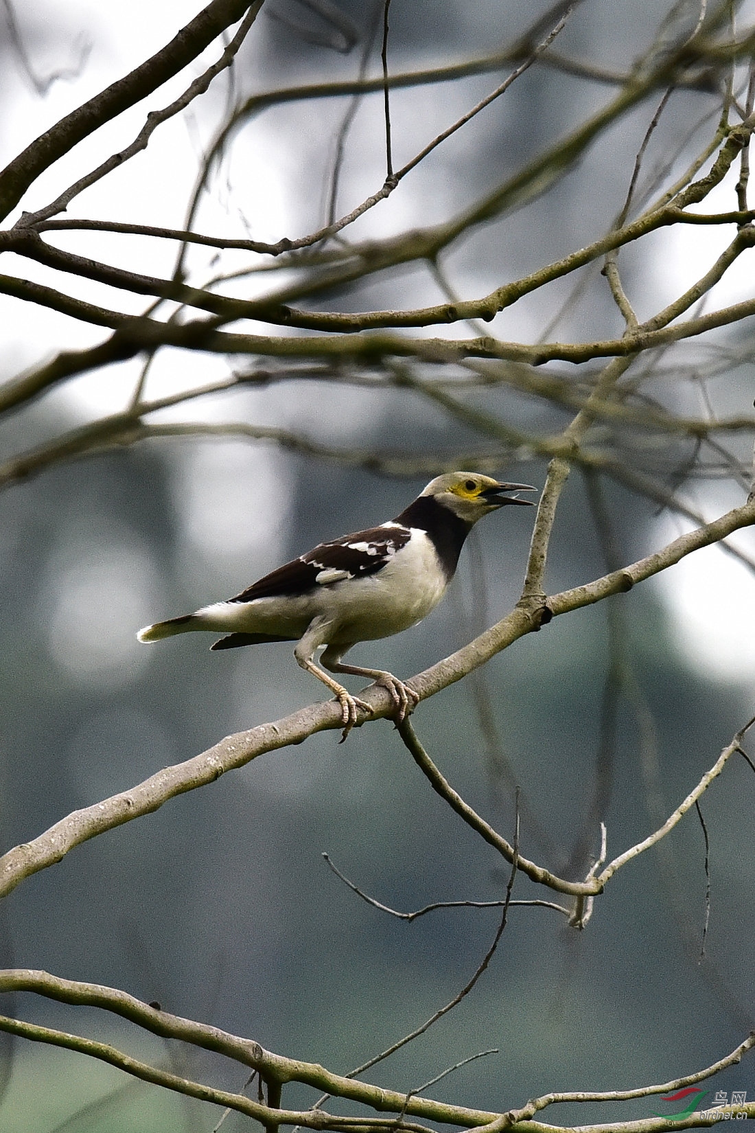 DSC_0209.JPG
