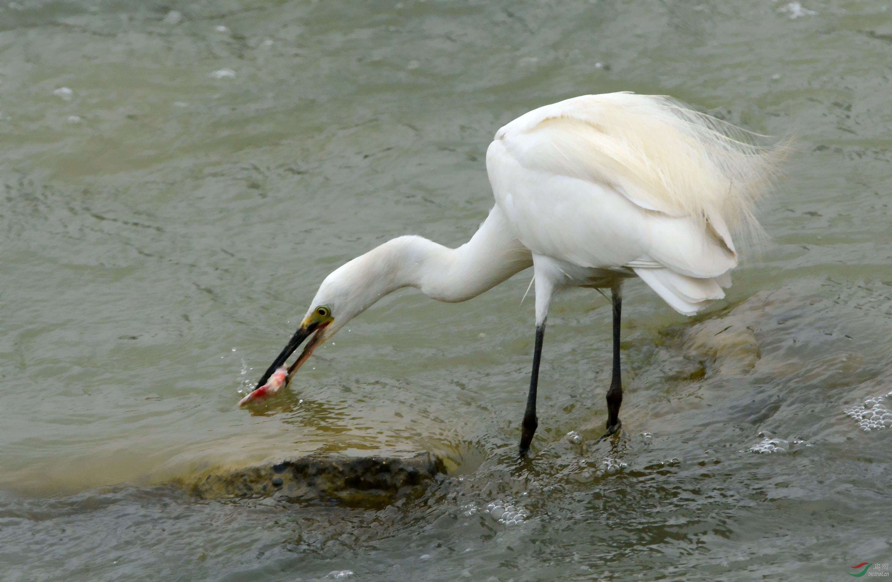 DSC_5416_conew2.jpg