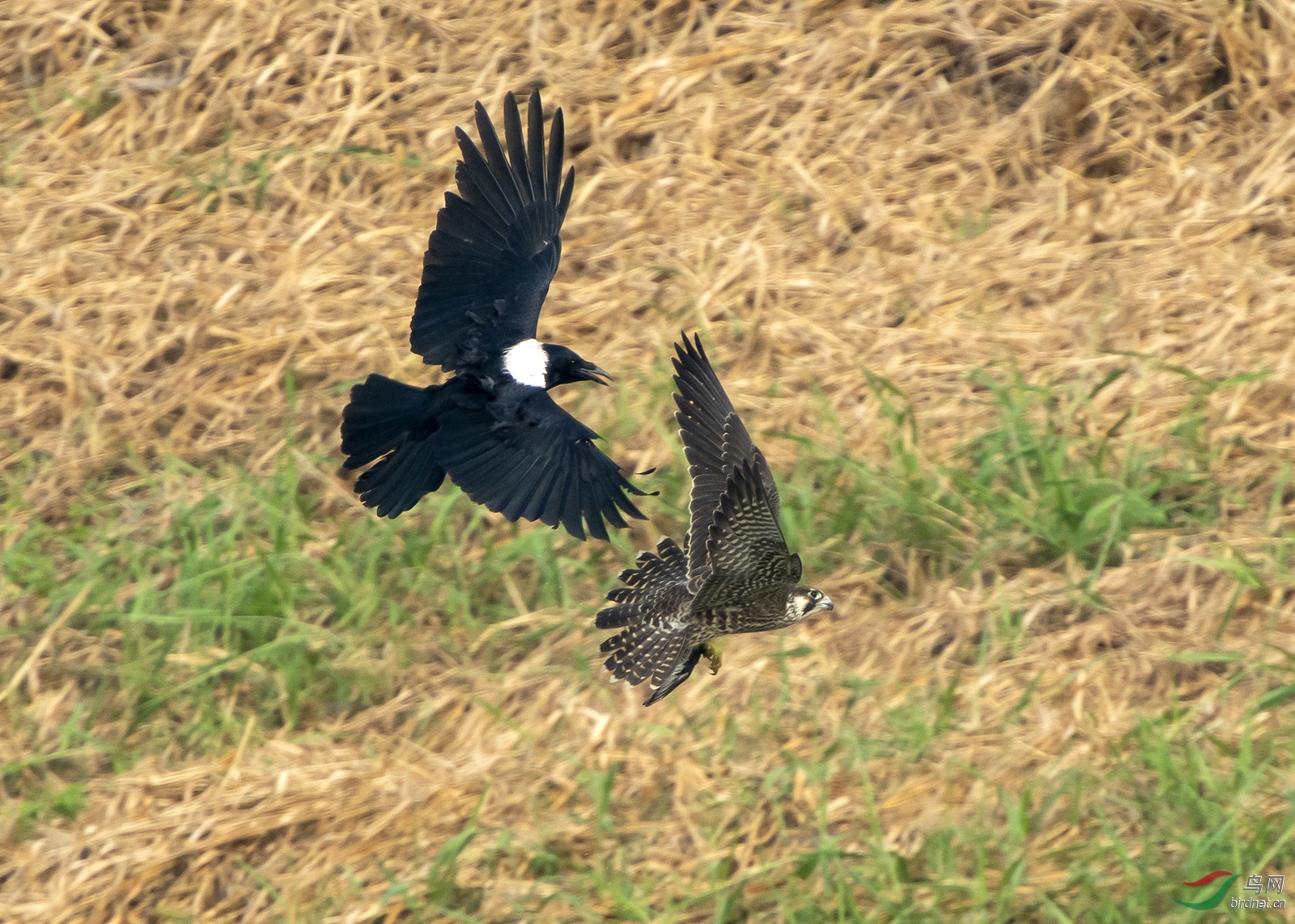 DSC_1288.jpg