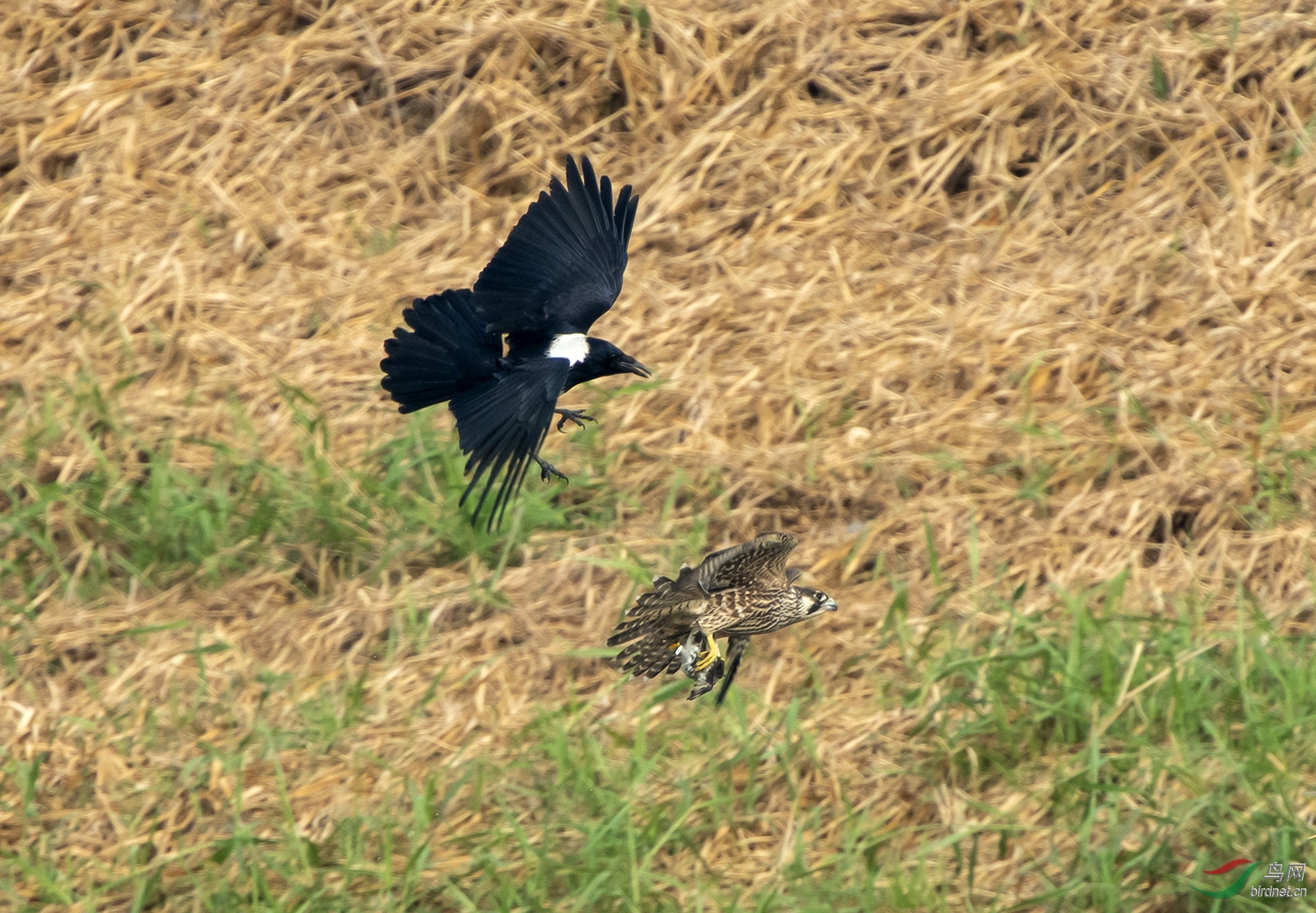 DSC_1289.jpg
