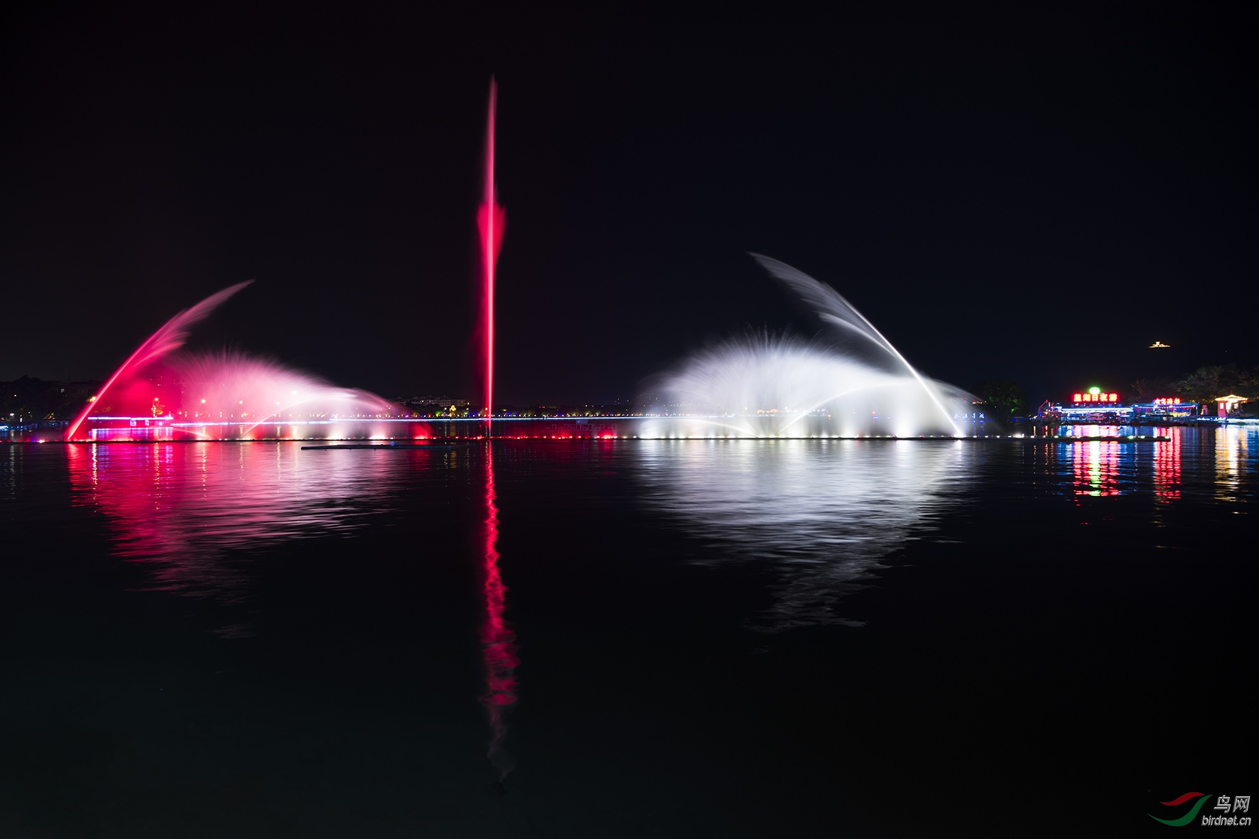 DSC_3909.jpg