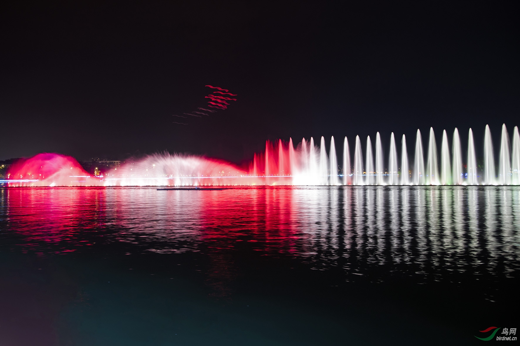 DSC_4004.jpg