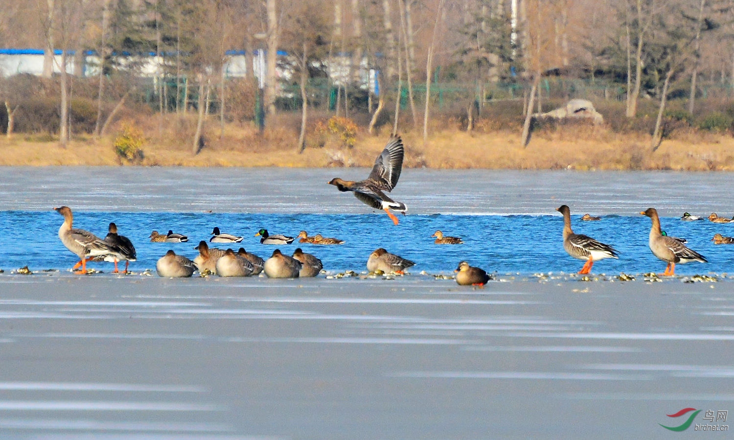 DSC_6339.JPG