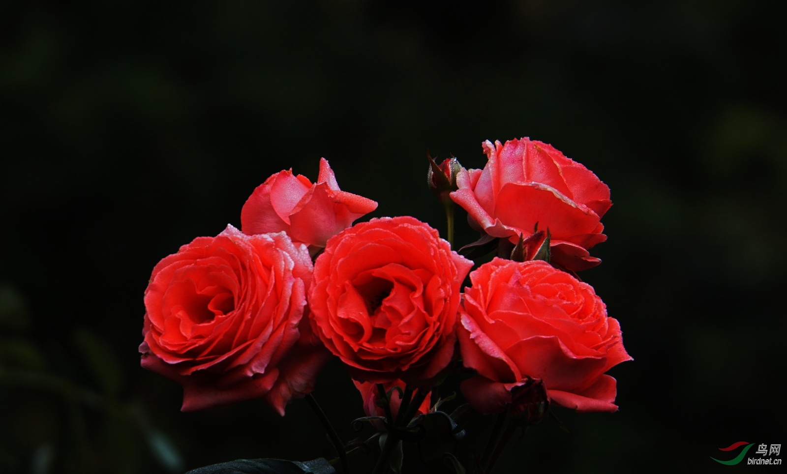 DSC09591.JPG