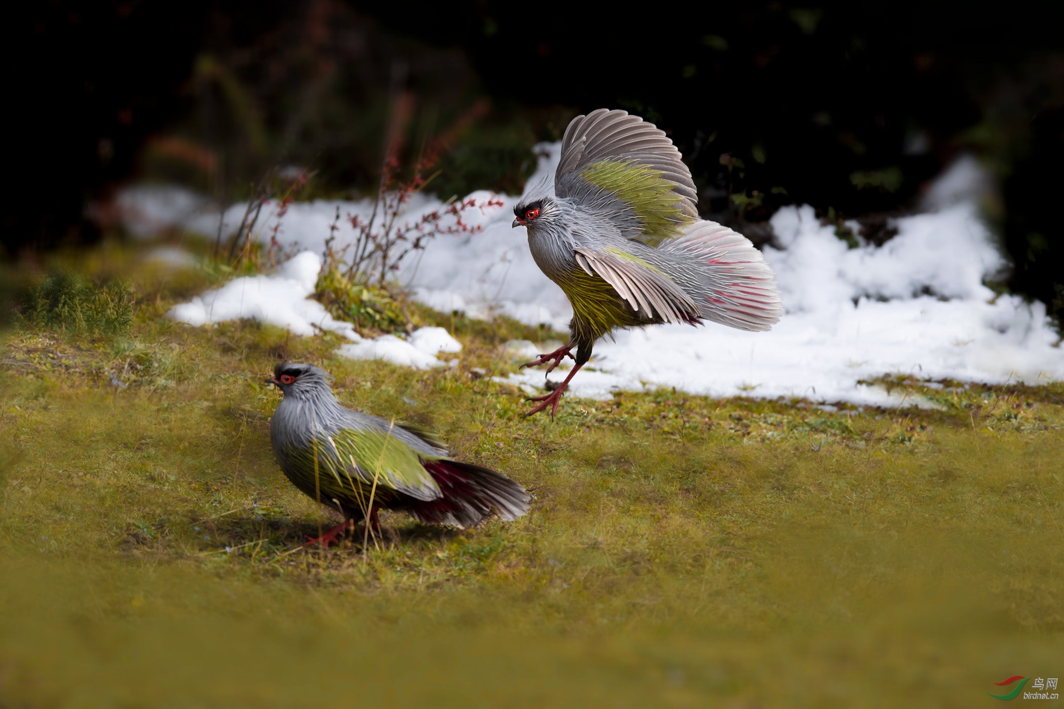 DSC_1470-2.jpg
