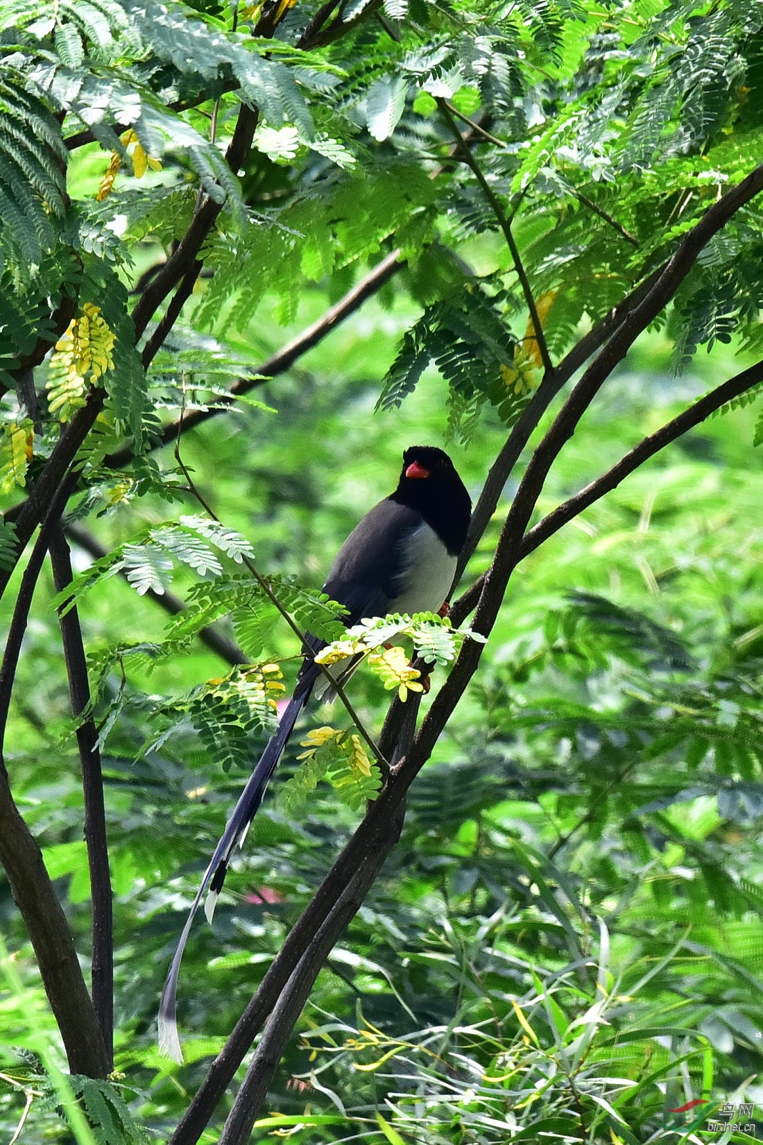 DSC_0631.JPG