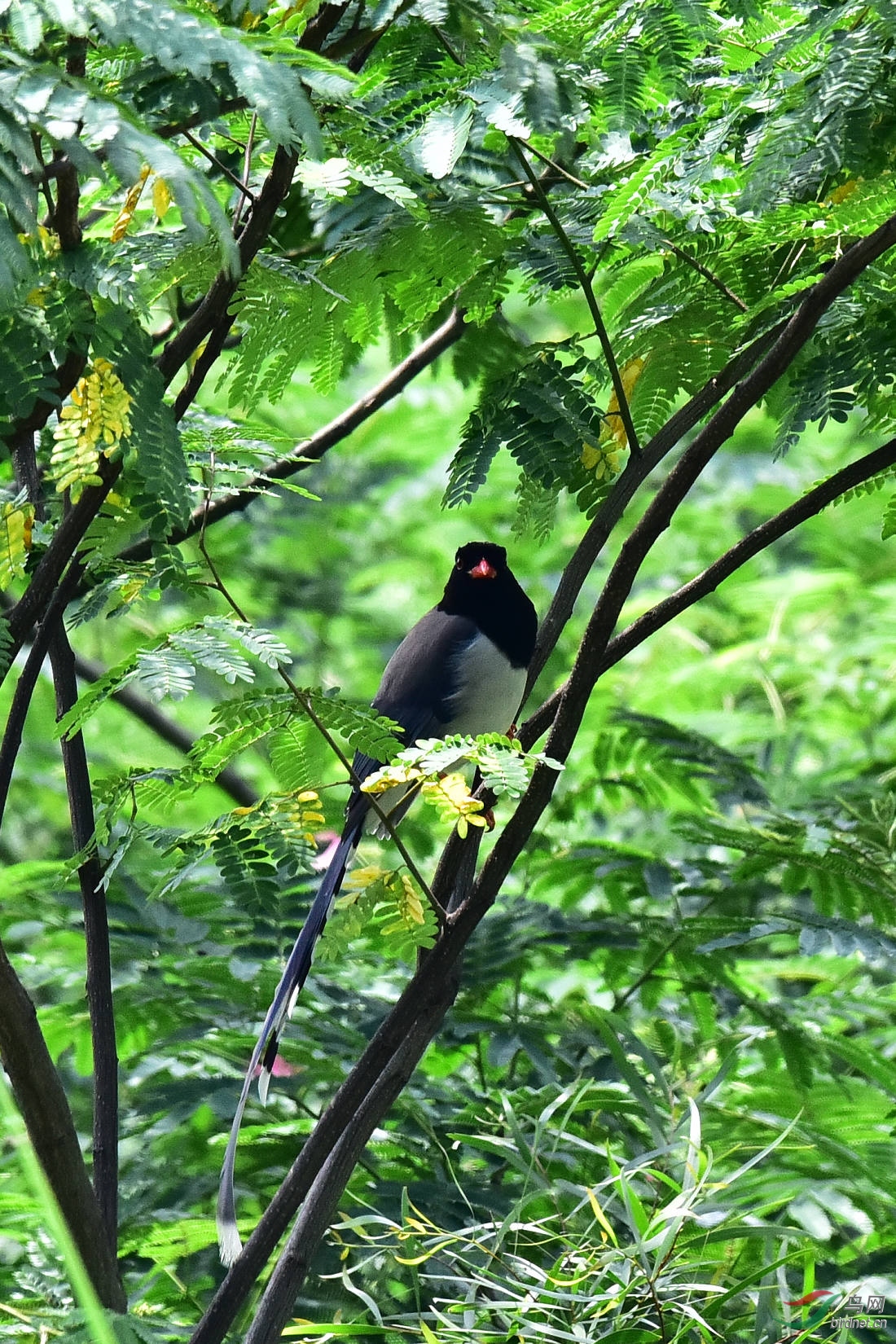 DSC_0632.JPG