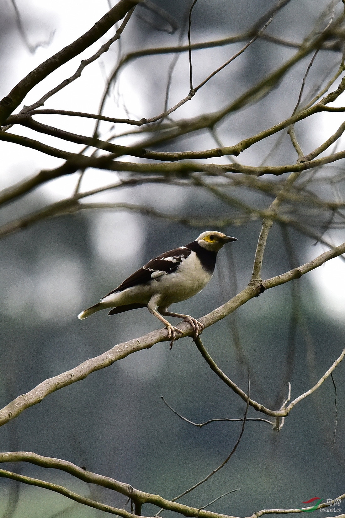DSC_0211.JPG