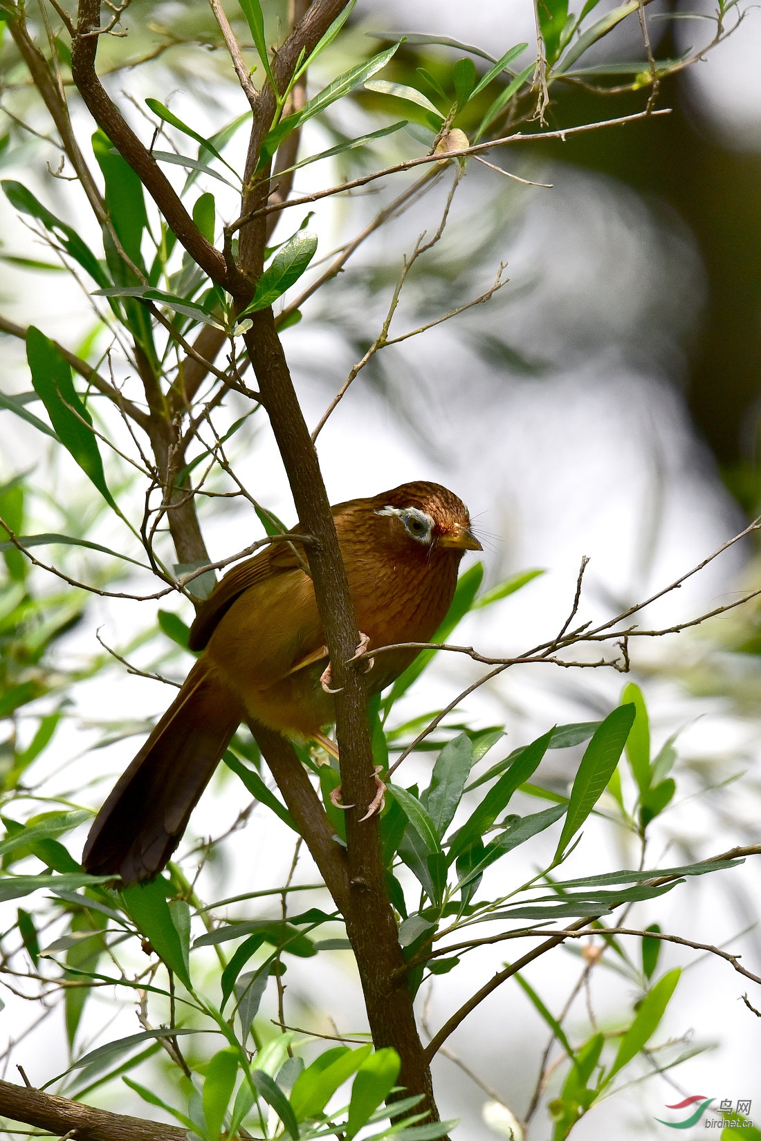 DSC_0212.JPG