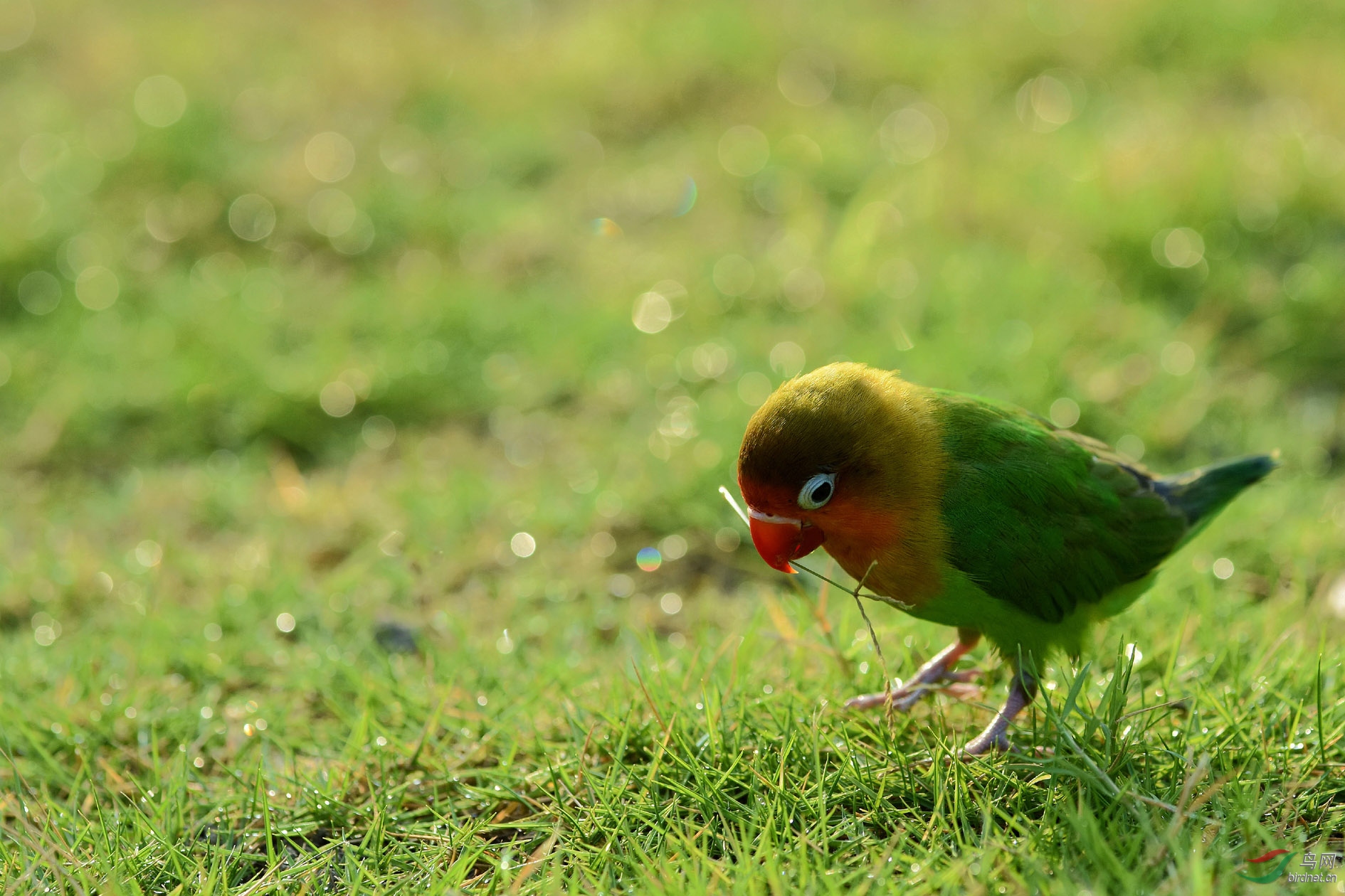 DSC_8416_����.jpg
