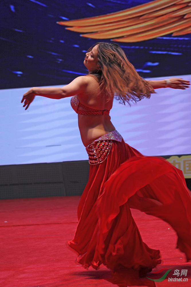 IMG_4263.jpg