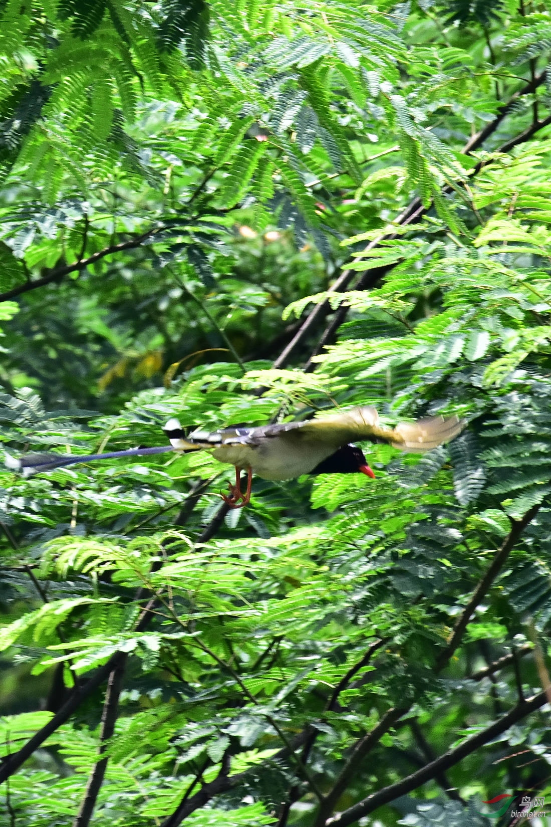 DSC_0635.JPG