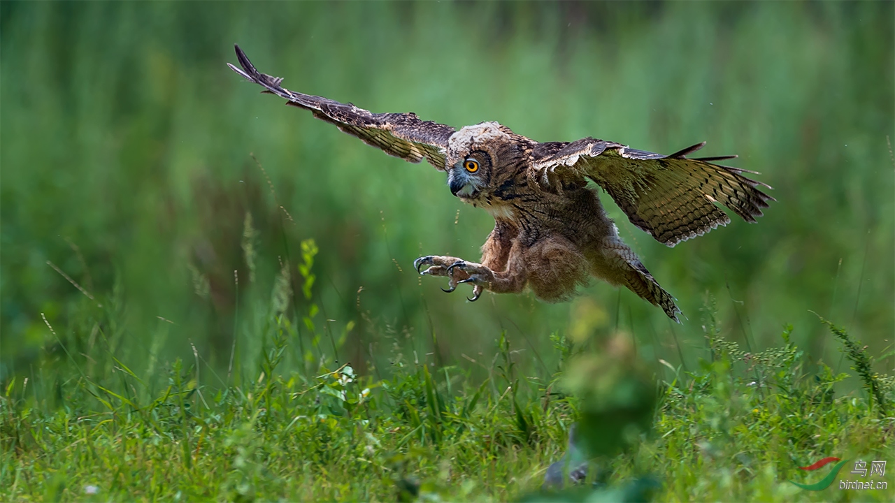 _DSC9060-1.jpg