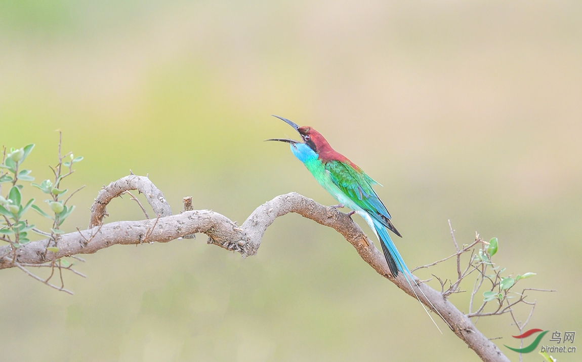 DSC_4293.JPG