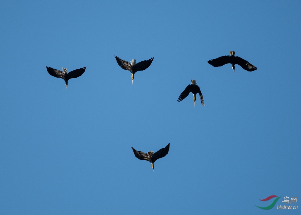 ����Ϭ��