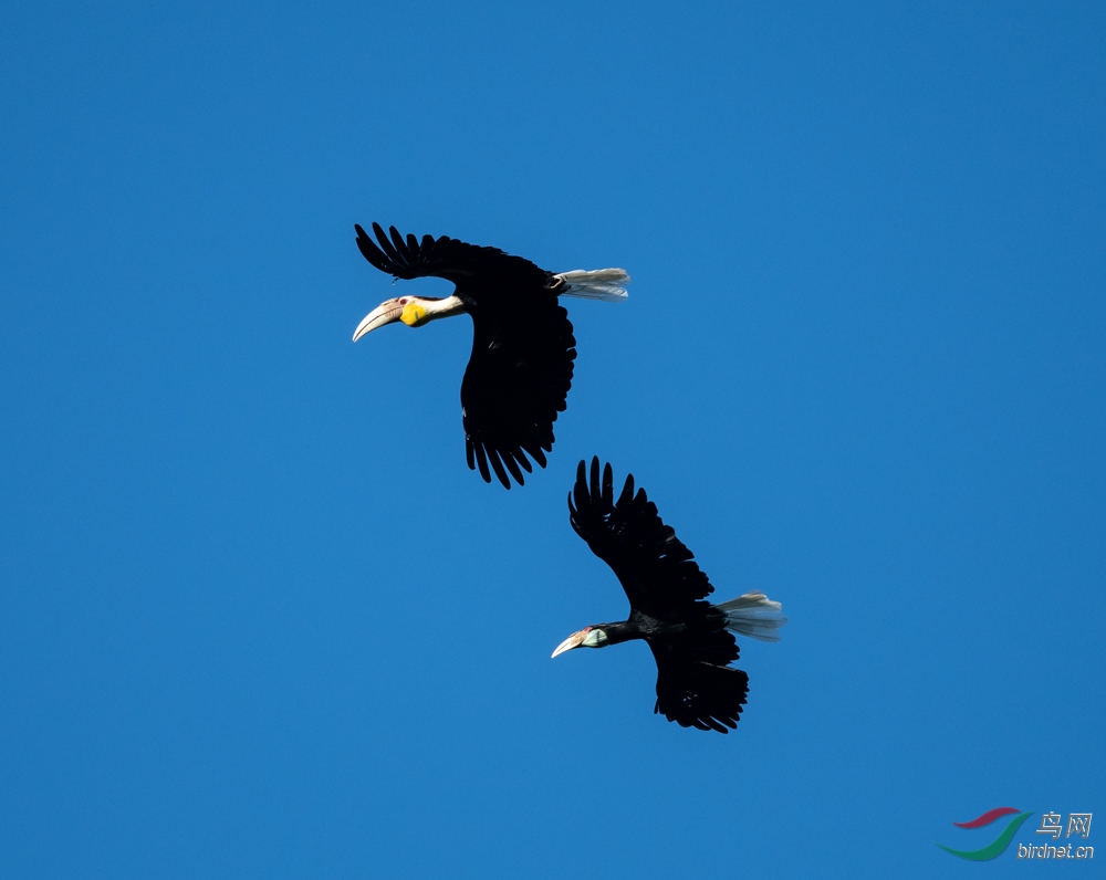 ����Ϭ��