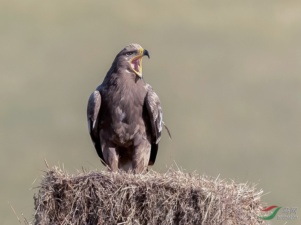 _K8I6272  01_����.jpg