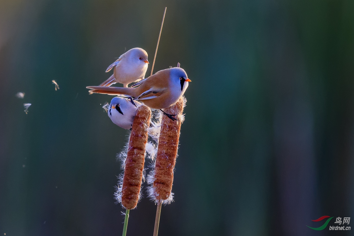 ����һ�� .jpg