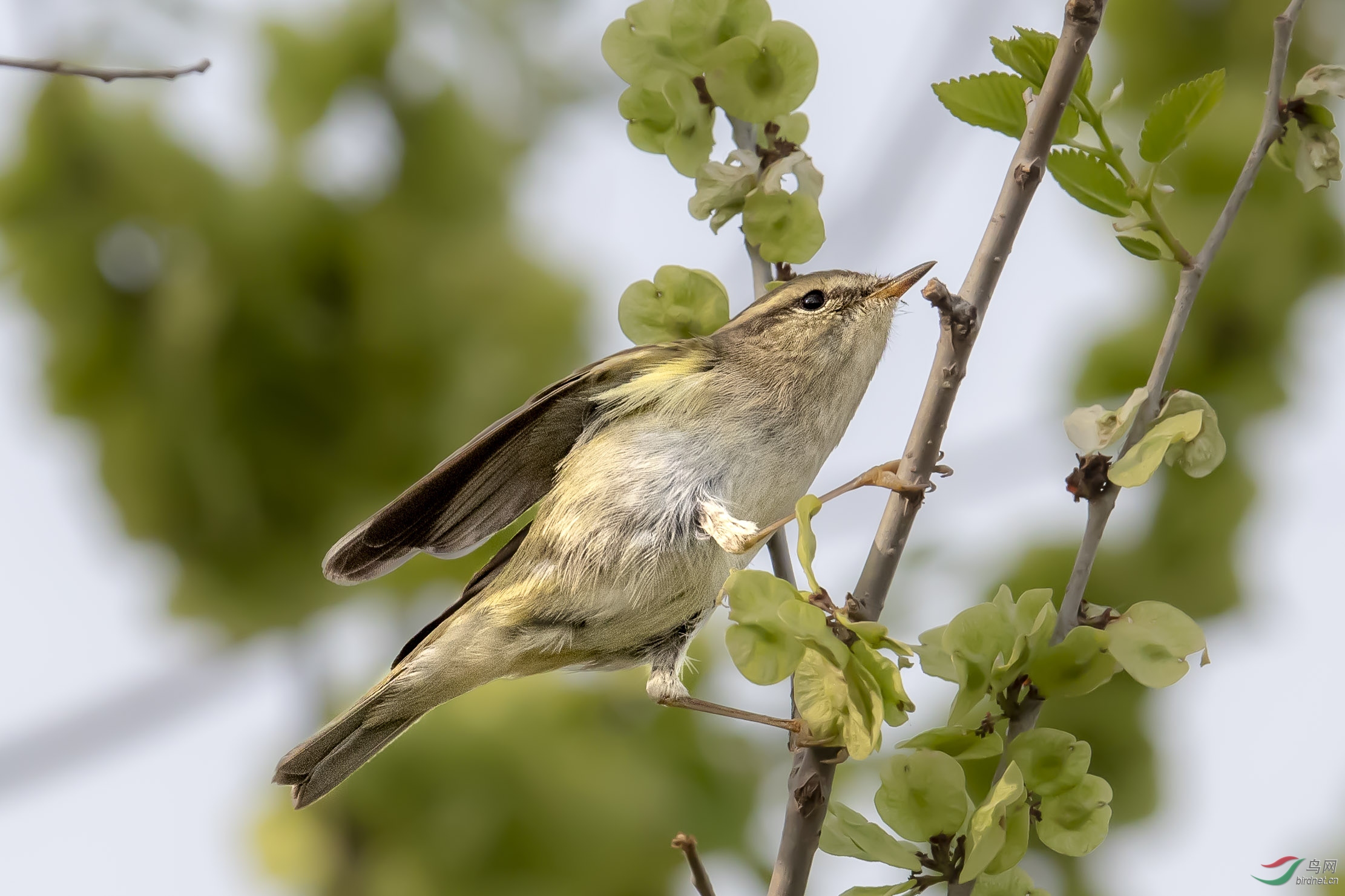 14������