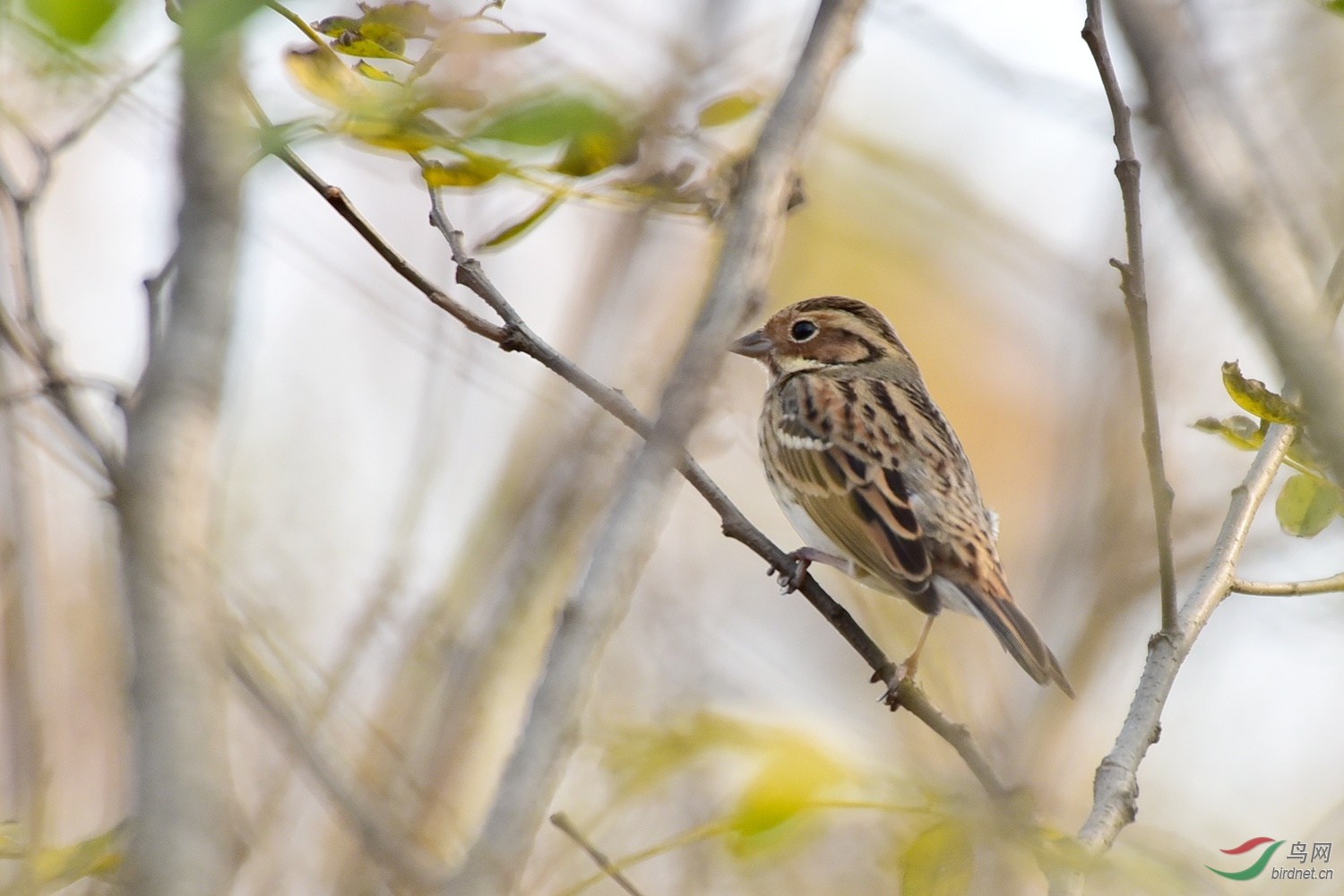 DSC_6744.JPG