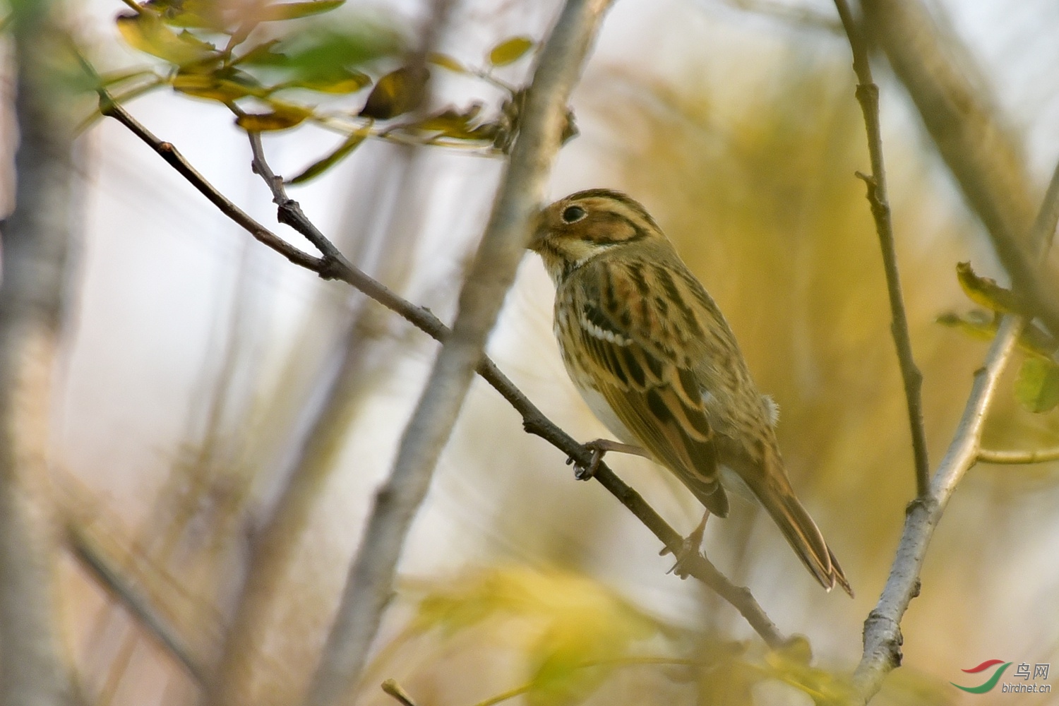 DSC_6746.JPG