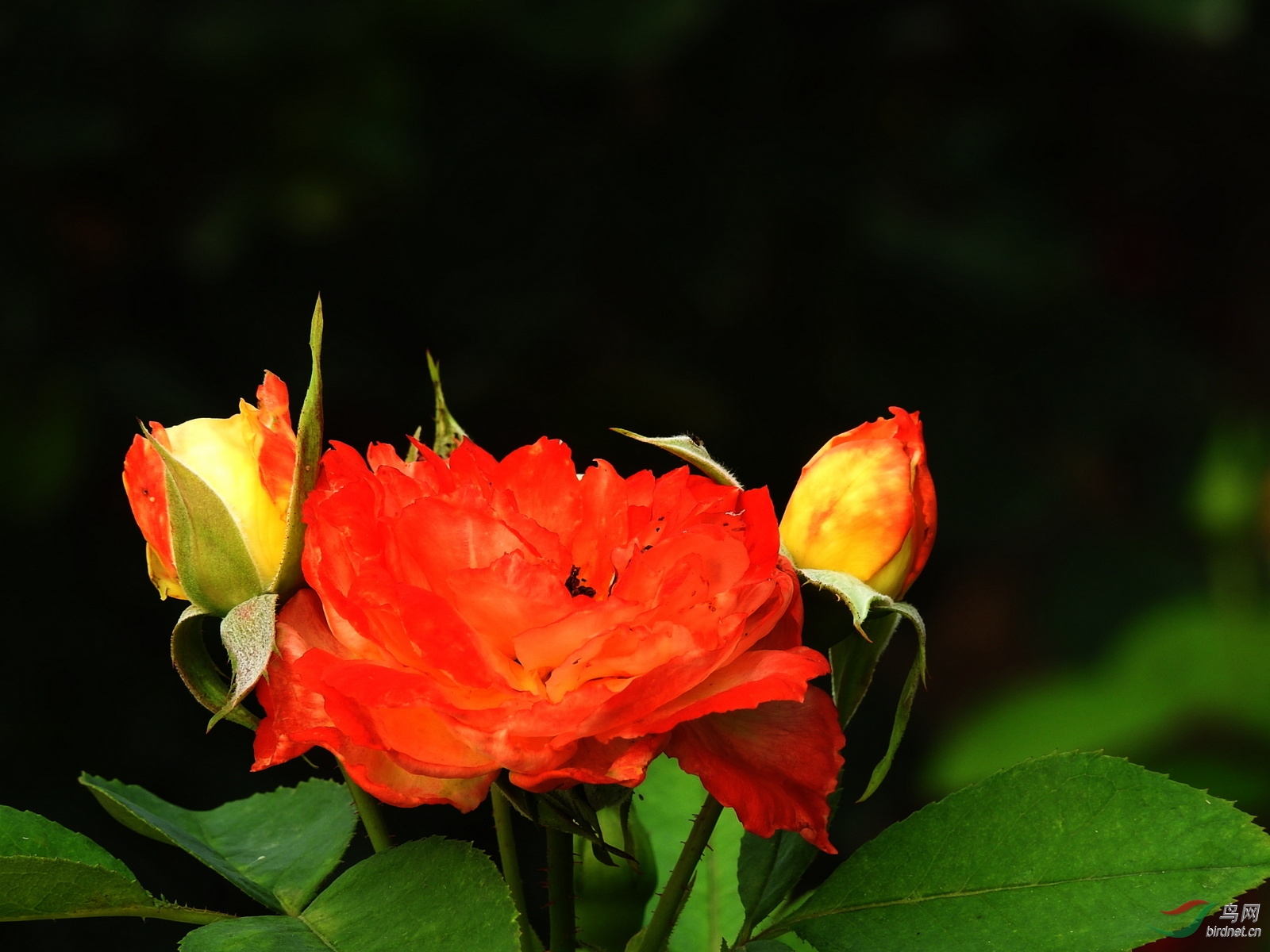 DSCN2395.JPG