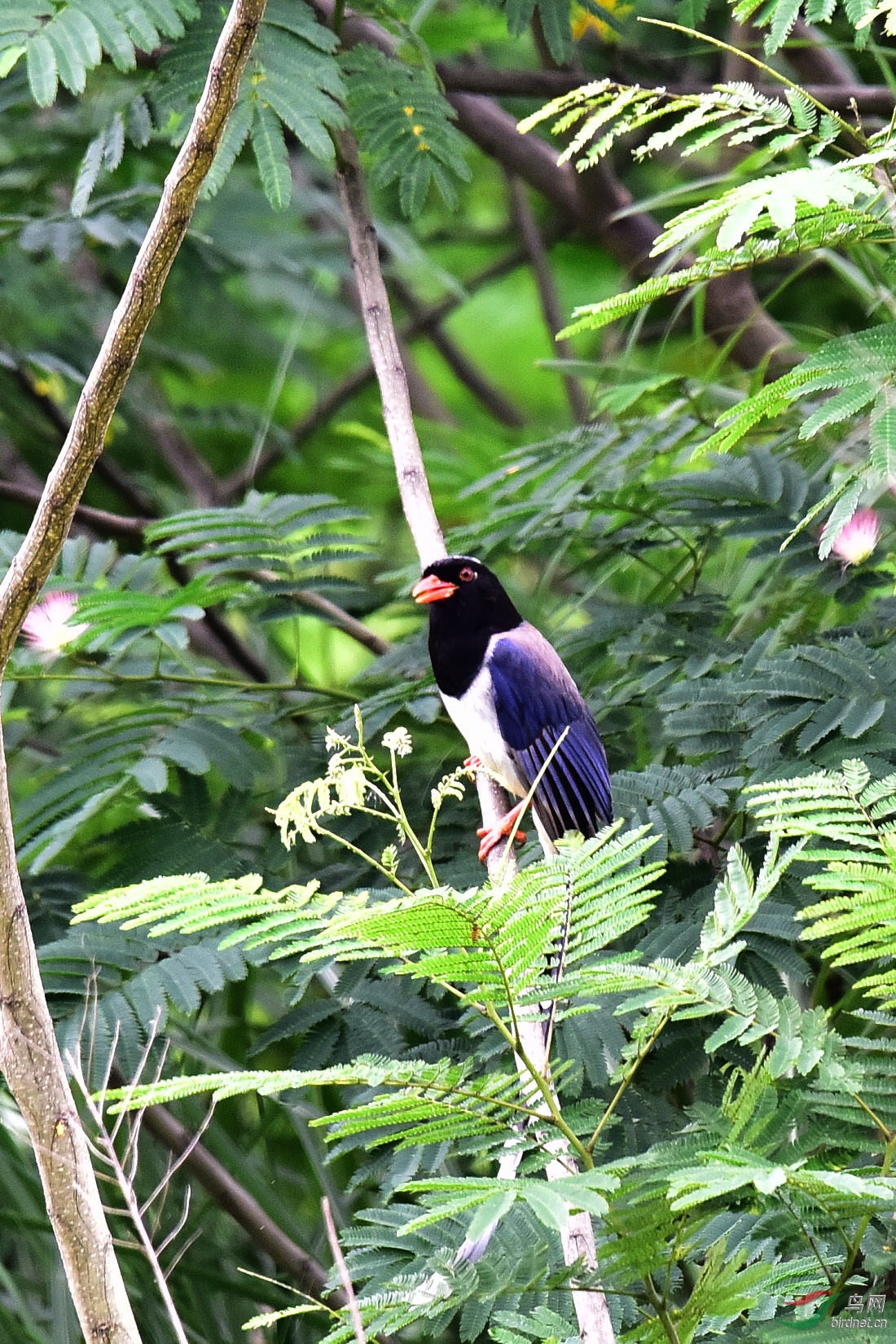 DSC_0638.JPG
