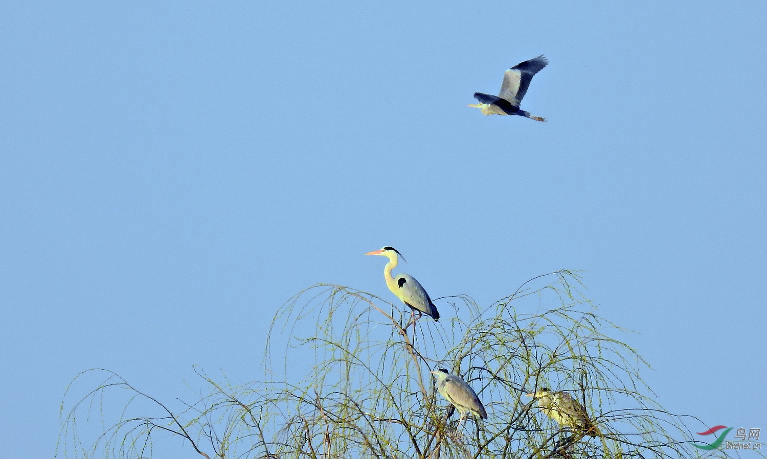 DSCN4960.JPG