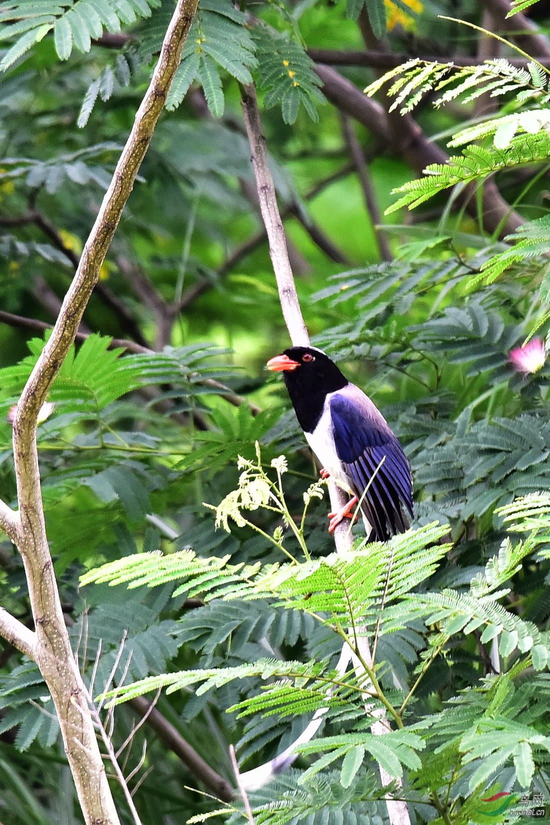 DSC_0639.JPG
