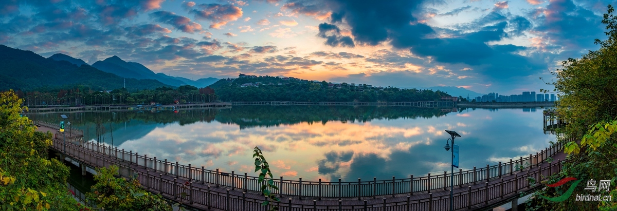 �����  ջ������  ��Ӣ��  ���ڸ���ɭ��ջ��  13799404389.jpg