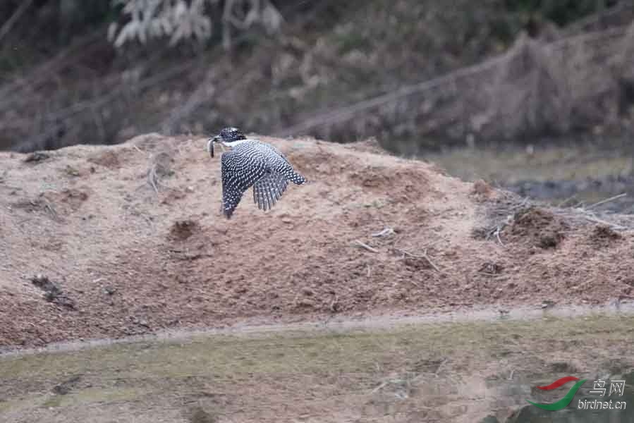 20180224-DSC01018-64 - ����.JPG