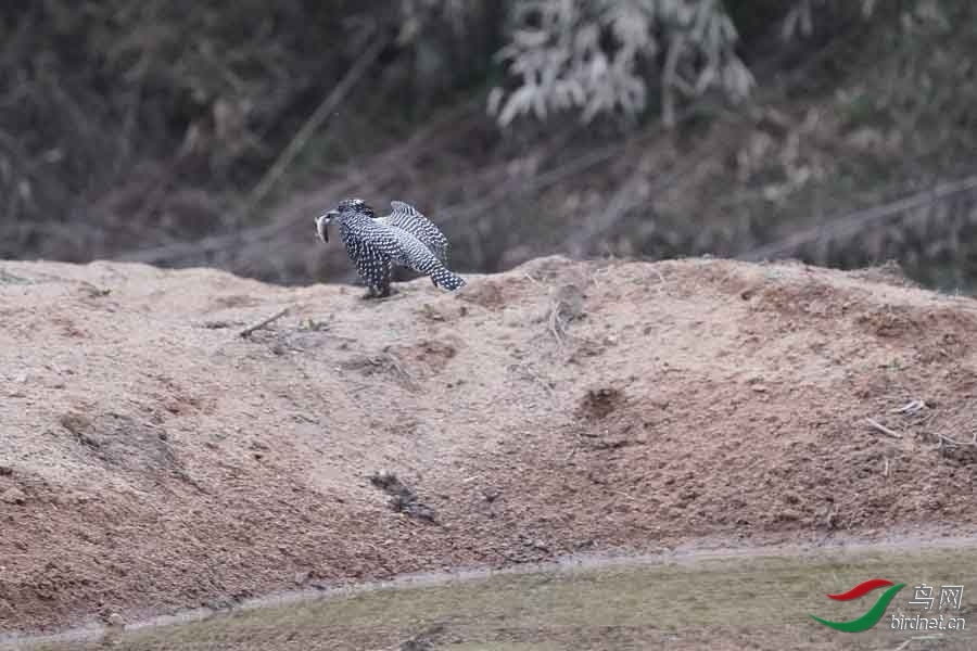 20180224-DSC01021-67 - ����.JPG