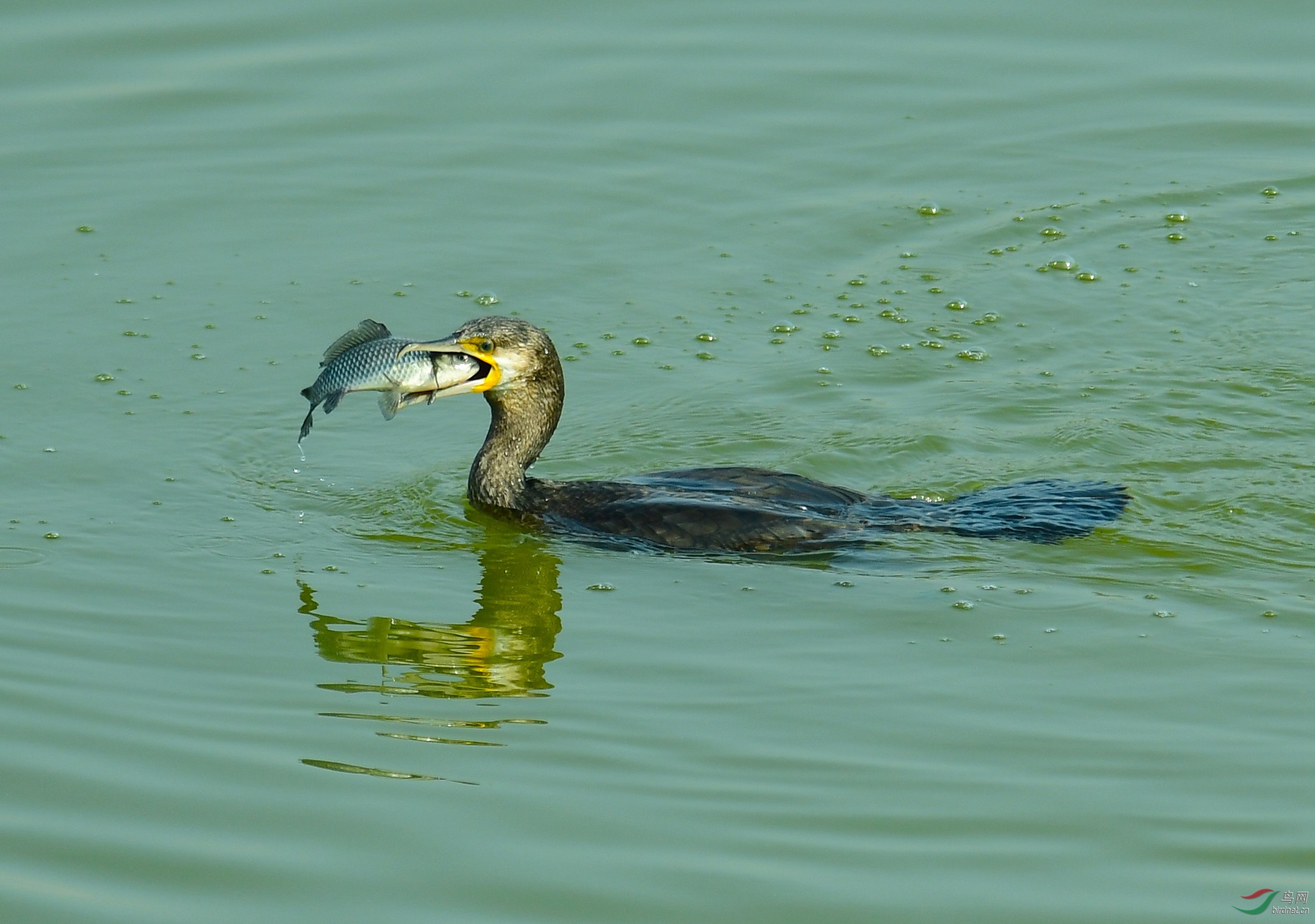 DSC_0912.JPG