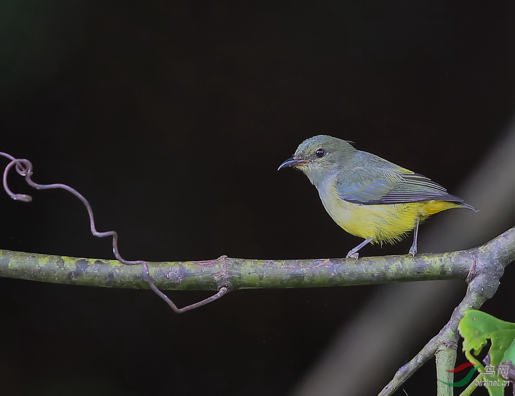 916A0272  01_����_����.jpg