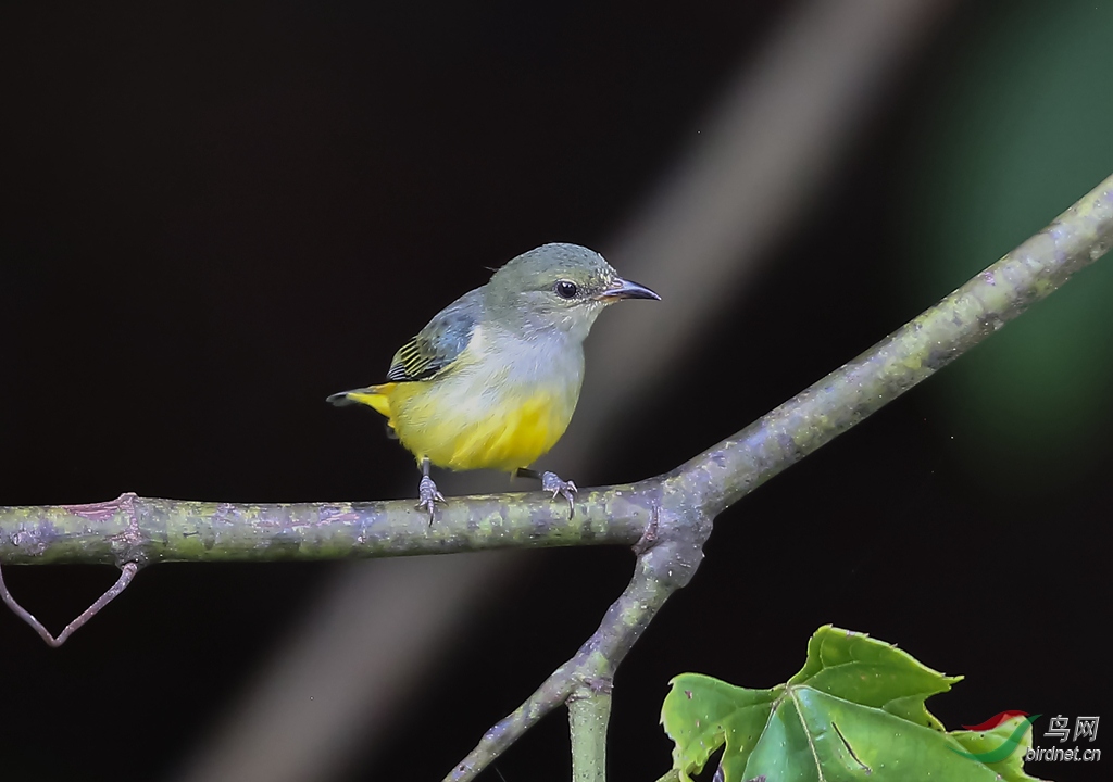 916A0223  01_����.jpg