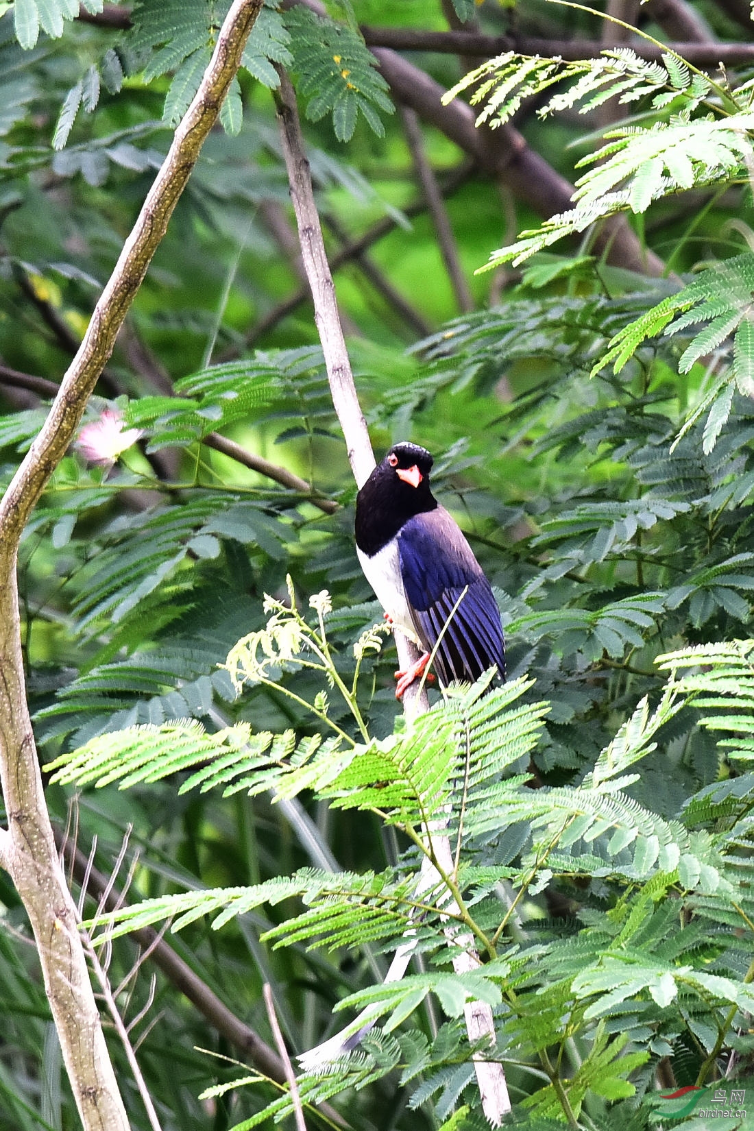 DSC_0642.JPG