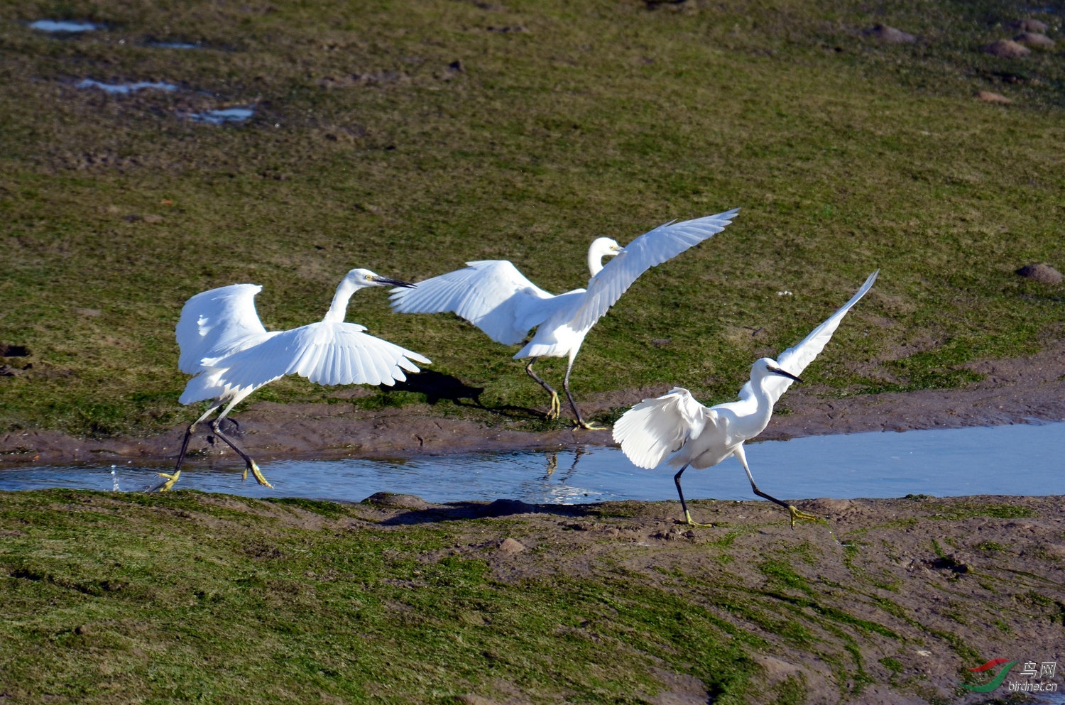 DSC_6830.JPG