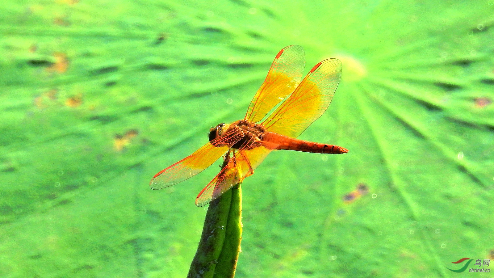 DSCN9256.JPG