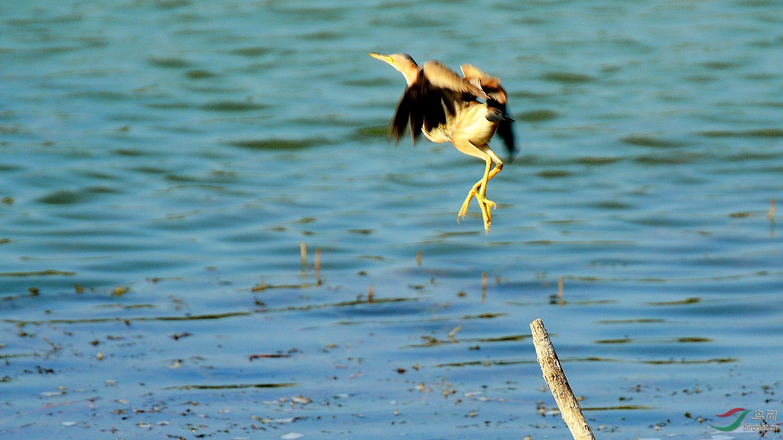 DSC_6474.JPG