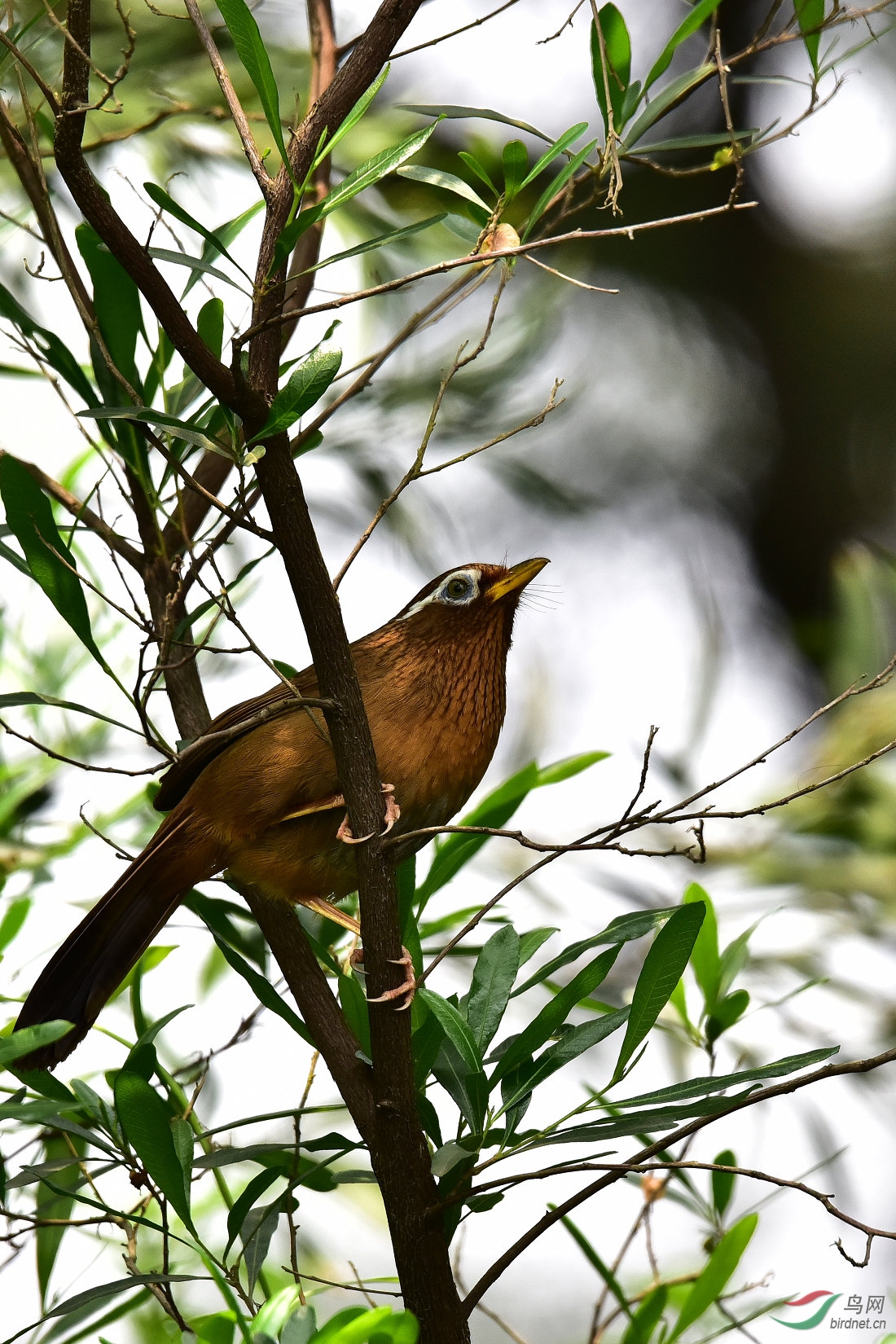 DSC_0224.JPG