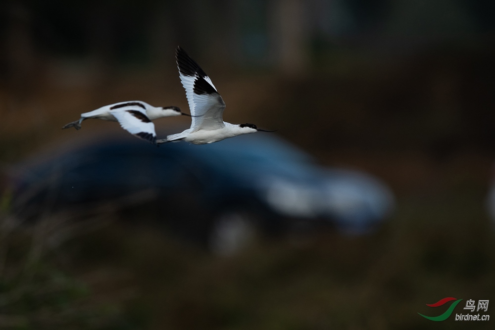 DSC_2687.jpg