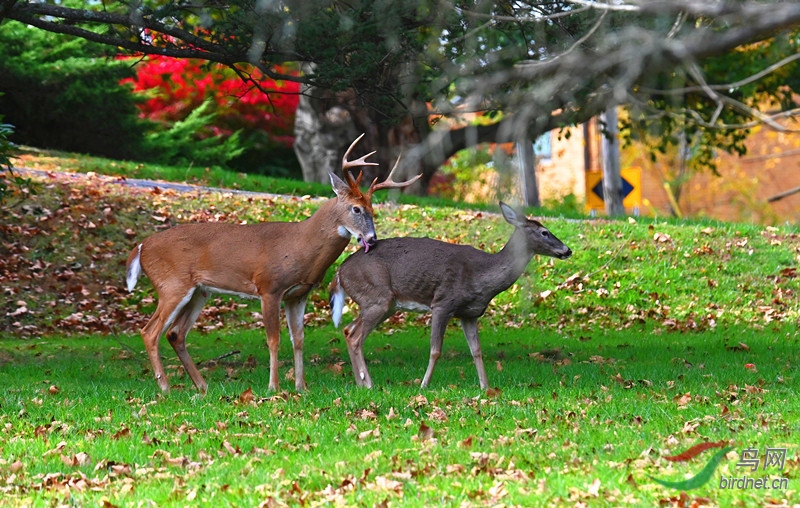 DSC_7982-.pg_����.jpg