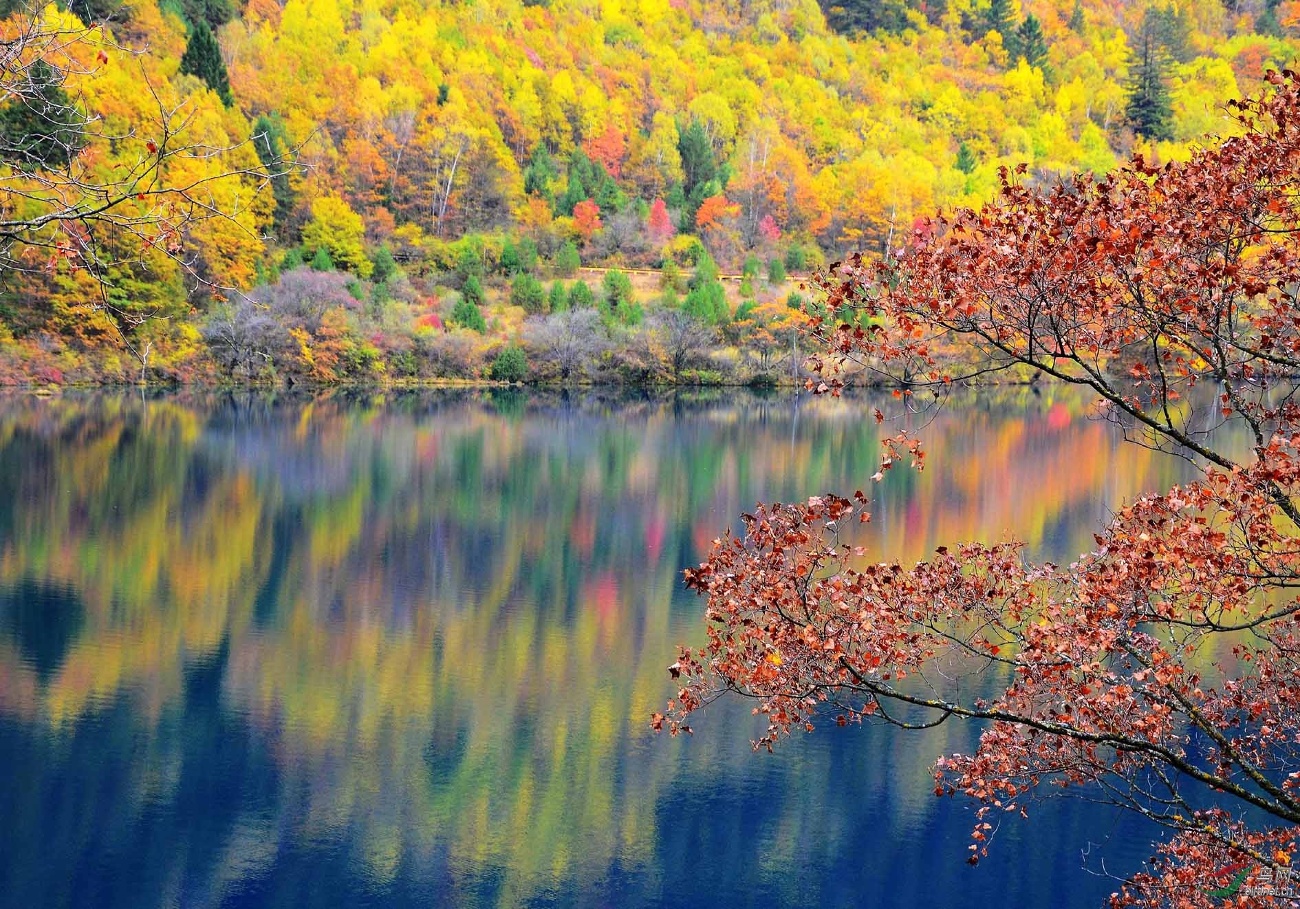 ��կ�� 322.jpg