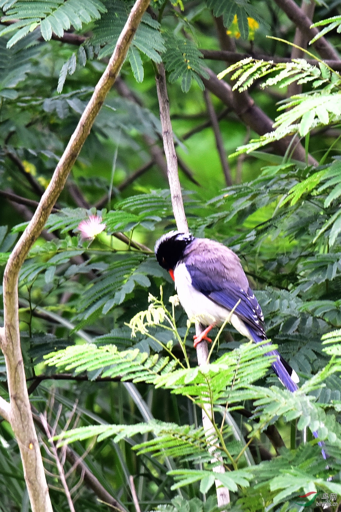 DSC_0646.JPG