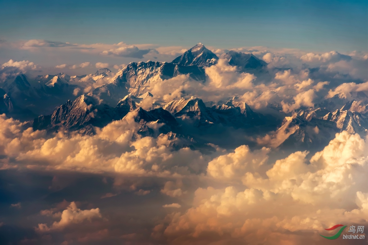 ��������� ����ʡ  ��Ӣ��  13799404389 ���ڷ��������ķɻ���_����.jpg