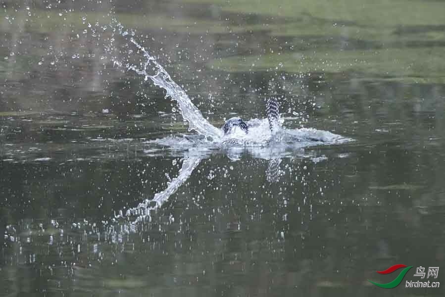 20180224-DSC00970-16 - ����.JPG