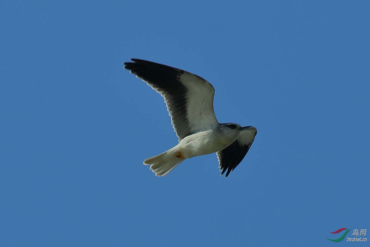 aIMG_1633.JPG