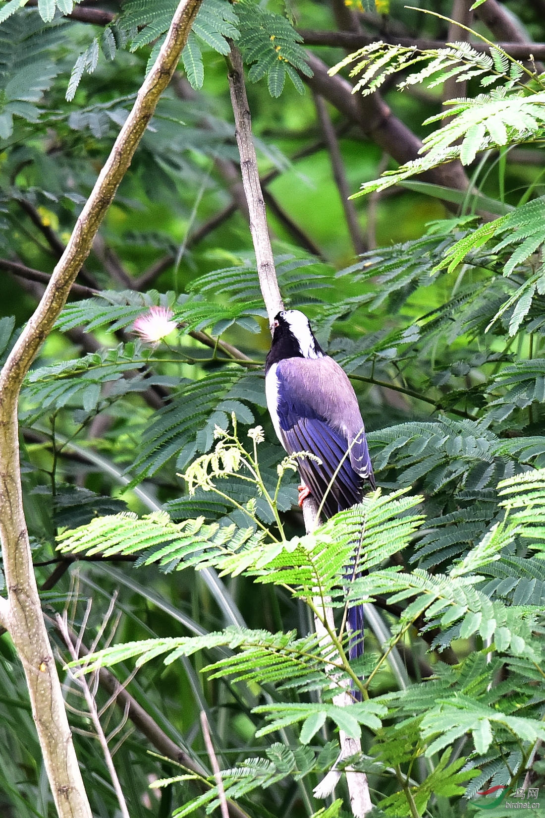 DSC_0650.JPG